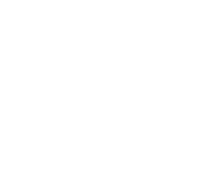 logo firmy Evisnet